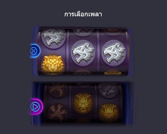 Dradon Tiger Luck