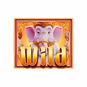 Ganesha Fortune