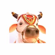 Ganesha Fortune