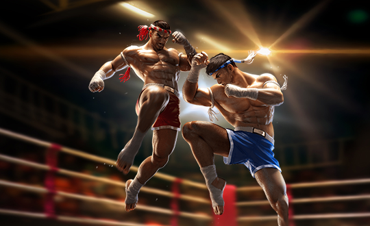 Muay Thai Champion